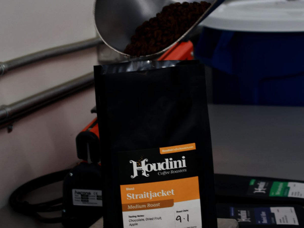 Scooping fresh roasted beans into a Houdini Straitjacket bag